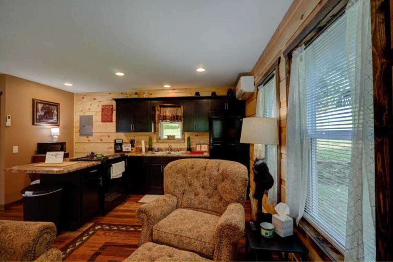 Dragon'S Nest Cabin With Mountain Views รอบบินส์วิลล์ ภายนอก รูปภาพ